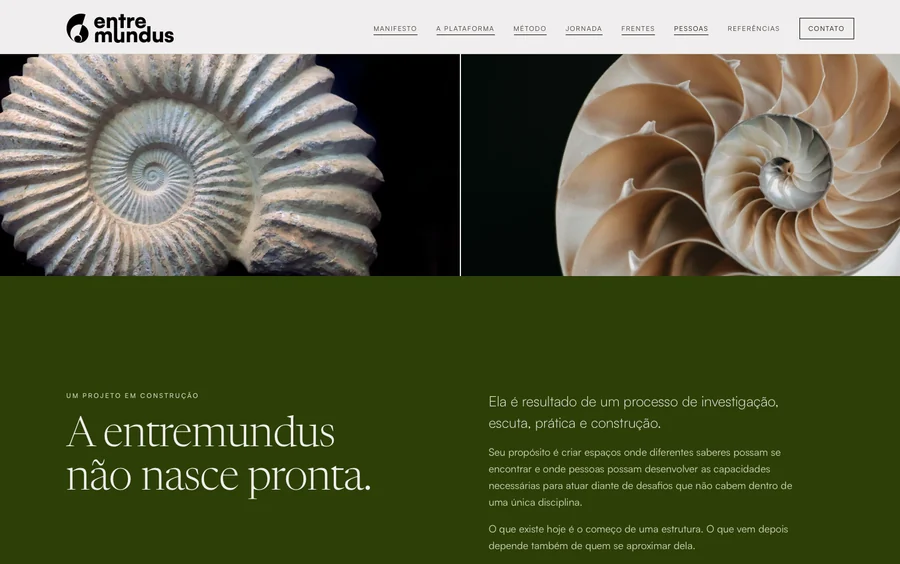 Página inicial do site da entremundus, com identidade visual e site criados pelo Porakê Studio